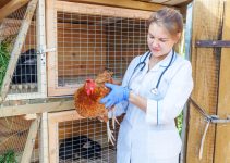 Tratarea pielii de găină: Metode eficiente și ușoare
