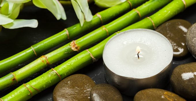Bambusul: Simbol al norocului și beneficiile sale