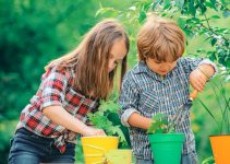 Sfaturi pentru îngrijirea grădinii tale pe timpul verii