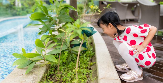 Cum să îți amenajezi o grădină japoneză pas cu pas