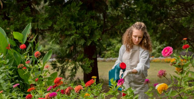 Cum să creezi o grădină de flori care să înflorească pe tot parcursul anului