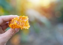 Pastura de albine: beneficii pentru imunitate și energie