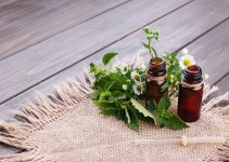Plante medicinale pentru stimularea sistemului imunitar