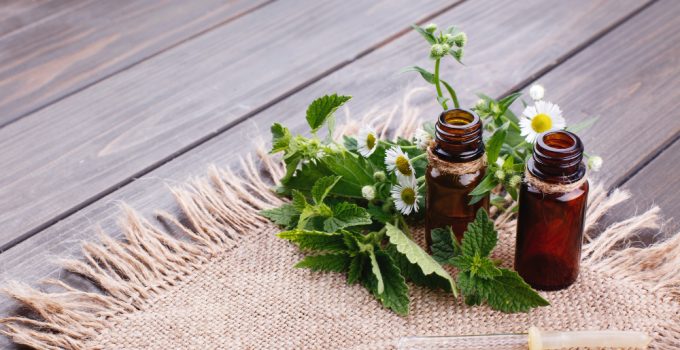 Plante medicinale pentru stimularea sistemului imunitar