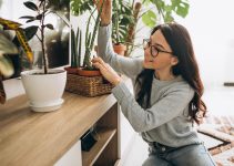 7 idei de decor eco-friendly pentru casă