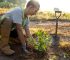 Testarea solului înainte de plantare: de ce merită făcută